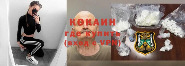 прущие грибы Карталы
