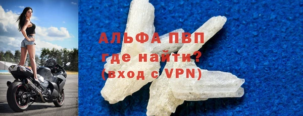 прущие грибы Карталы