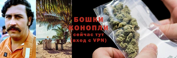 прущие грибы Карталы